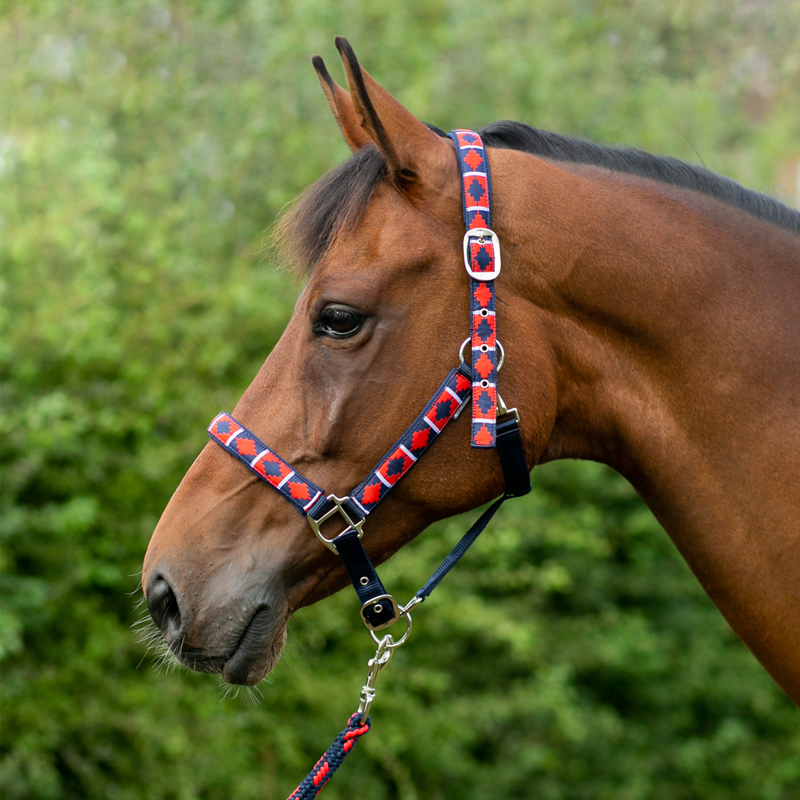 Hy Equestrian Woven Polo Headcollar and Leadrope - Navy/Red-1